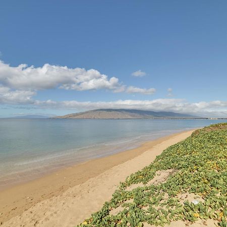 Kihei Haven At Village By The Sea, Steps To Beach! Dış mekan fotoğraf