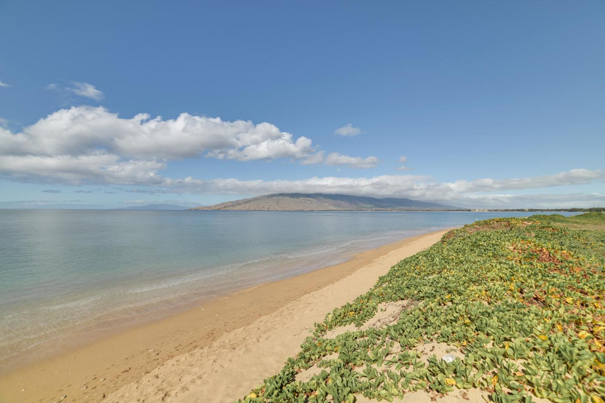 Kihei Haven At Village By The Sea, Steps To Beach! Dış mekan fotoğraf